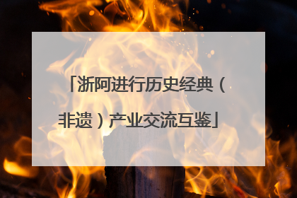 浙阿进行历史经典（非遗）产业交流互鉴