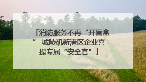 消防服务不再“开盲盒” 城陵矶新港区企业喜提专属“安全官”