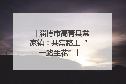 淄博市高青县常家镇：共富路上“一路生花”