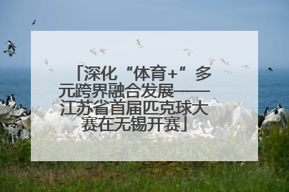 深化“体育+”多元跨界融合发展——江苏省首届匹克球大赛在无锡开赛