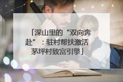 深山里的“双向奔赴”：驻村帮扶激活茅坪村致富引擎