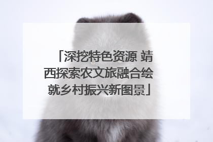 深挖特色资源 靖西探索农文旅融合绘就乡村振兴新图景