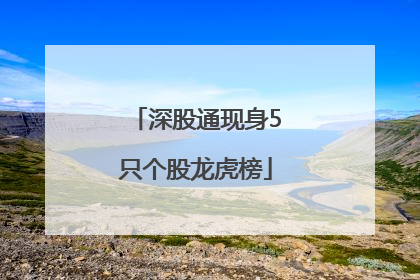 深股通现身5只个股龙虎榜