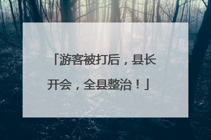 游客被打后，县长开会，全县整治！