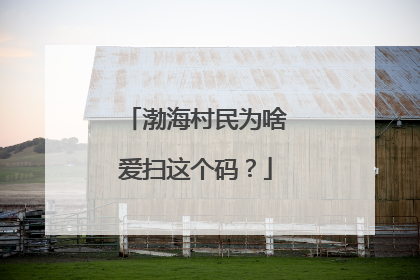 渤海村民为啥爱扫这个码？