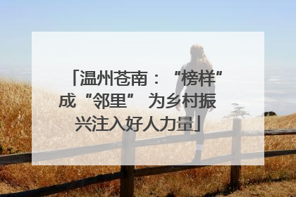 温州苍南：“榜样”成“邻里” 为乡村振兴注入好人力量