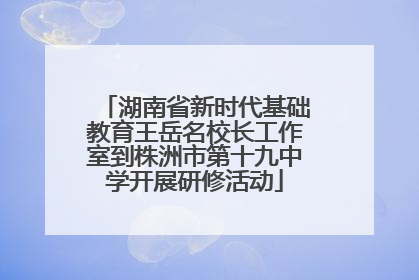 湖南省新时代基础教育王岳名校长工作室到株洲市第十九中学开展研修活动