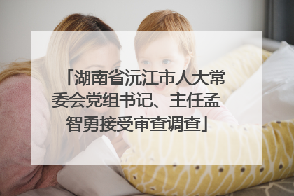 湖南省沅江市人大常委会党组书记、主任孟智勇接受审查调查