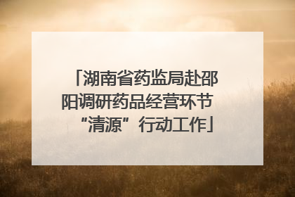 湖南省药监局赴邵阳调研药品经营环节“清源”行动工作
