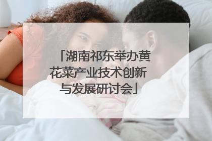 湖南祁东举办黄花菜产业技术创新与发展研讨会
