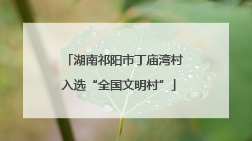 湖南祁阳市丁庙湾村入选“全国文明村”