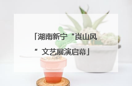 湖南新宁“崀山风”文艺展演启幕