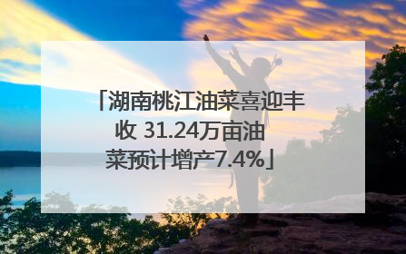 湖南桃江油菜喜迎丰收 31.24万亩油菜预计增产7.4%