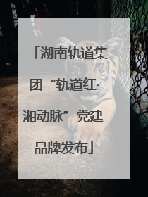 湖南轨道集团“轨道红·湘动脉”党建品牌发布