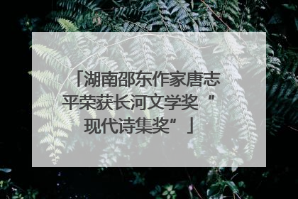湖南邵东作家唐志平荣获长河文学奖“现代诗集奖”