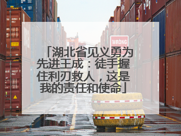 湖北省见义勇为先进王成：徒手握住利刃救人，这是我的责任和使命
