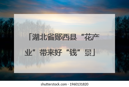 湖北省郧西县“花产业”带来好“钱”景