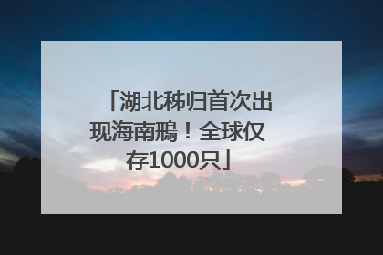 湖北秭归首次出现海南鳽！全球仅存1000只