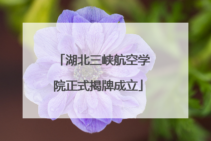 湖北三峡航空学院正式揭牌成立