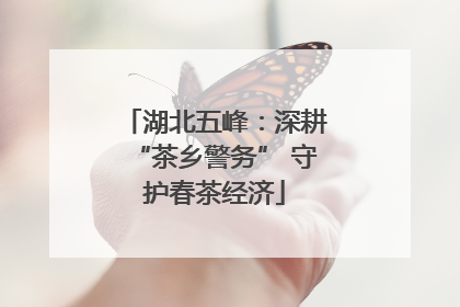 湖北五峰：深耕“茶乡警务” 守护春茶经济
