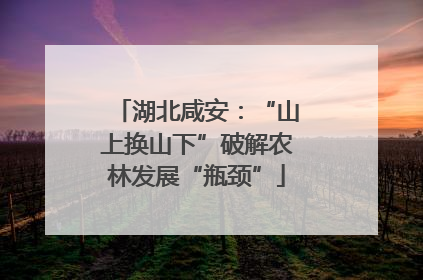 湖北咸安：“山上换山下”破解农林发展“瓶颈”