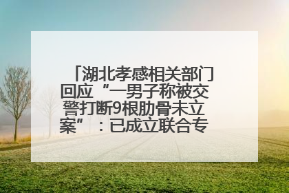湖北孝感相关部门回应“一男子称被交警打断9根肋骨未立案”：已成立联合专班开展工作