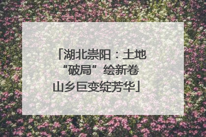 湖北崇阳：土地“破局”绘新卷 山乡巨变绽芳华