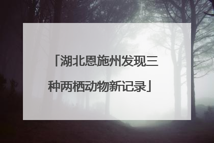 湖北恩施州发现三种两栖动物新记录