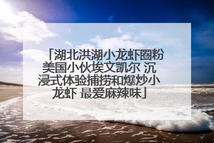 湖北洪湖小龙虾圈粉美国小伙埃文凯尔 沉浸式体验捕捞和爆炒小龙虾 最爱麻辣味