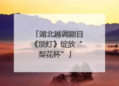 湖北越调剧目《顶灯》绽放“梨花杯”