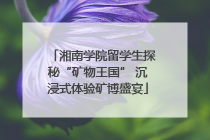 湘南学院留学生探秘“矿物王国” 沉浸式体验矿博盛宴
