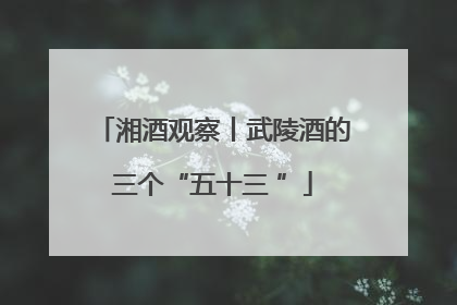 湘酒观察丨武陵酒的三个“五十三 ”