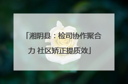 湘阴县：检司协作聚合力 社区矫正提质效