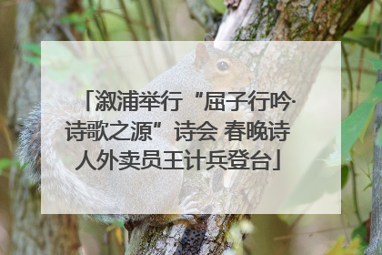 溆浦举行“屈子行吟·诗歌之源”诗会 春晚诗人外卖员王计兵登台