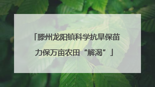 滕州龙阳镇科学抗旱保苗 力保万亩农田“解渴”