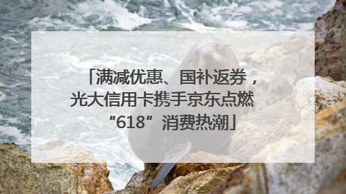 满减优惠、国补返券，光大信用卡携手京东点燃“618”消费热潮