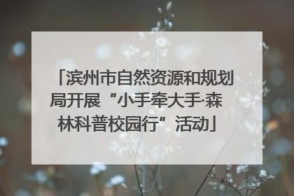 滨州市自然资源和规划局开展“小手牵大手·森林科普校园行”活动