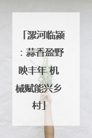 漯河临颍：蒜香盈野映丰年 机械赋能兴乡村