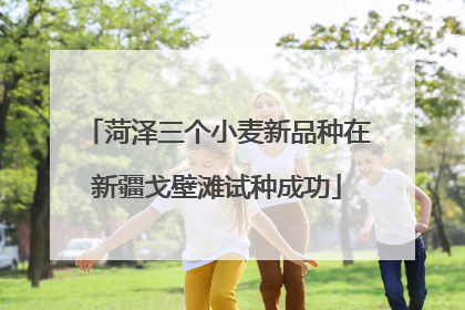 菏泽三个小麦新品种在新疆戈壁滩试种成功