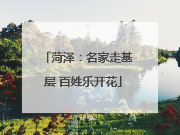 菏泽：名家走基层 百姓乐开花