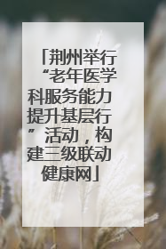 荆州举行“老年医学科服务能力提升基层行”活动，构建三级联动健康网