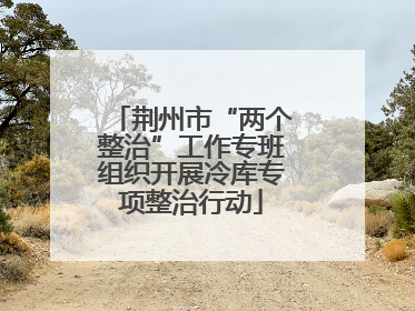 荆州市“两个整治”工作专班组织开展冷库专项整治行动