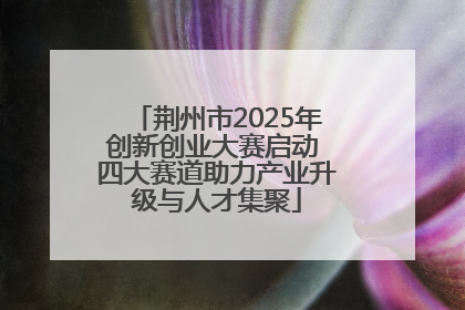 荆州市2025年创新创业大赛启动 四大赛道助力产业升级与人才集聚