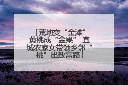 荒地变“金滩” 黄桃成“金果” 宜城农家女带领乡邻“桃”出致富路