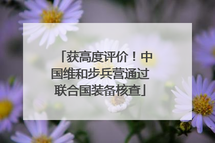获高度评价！中国维和步兵营通过联合国装备核查