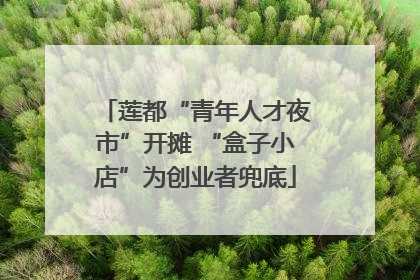 莲都“青年人才夜市”开摊 “盒子小店”为创业者兜底