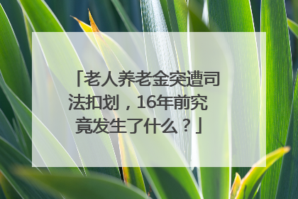 老人养老金突遭司法扣划，16年前究竟发生了什么？