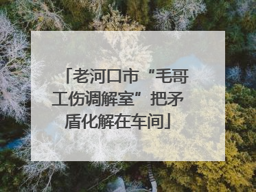 老河口市“毛哥工伤调解室”把矛盾化解在车间