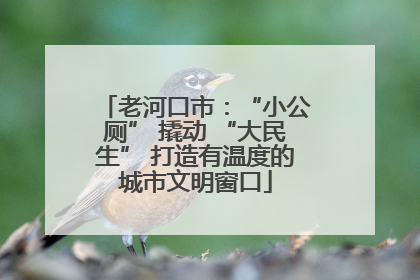 老河口市：“小公厕” 撬动 “大民生” 打造有温度的城市文明窗口