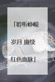 聆听峥嵘岁月 赓续红色血脉